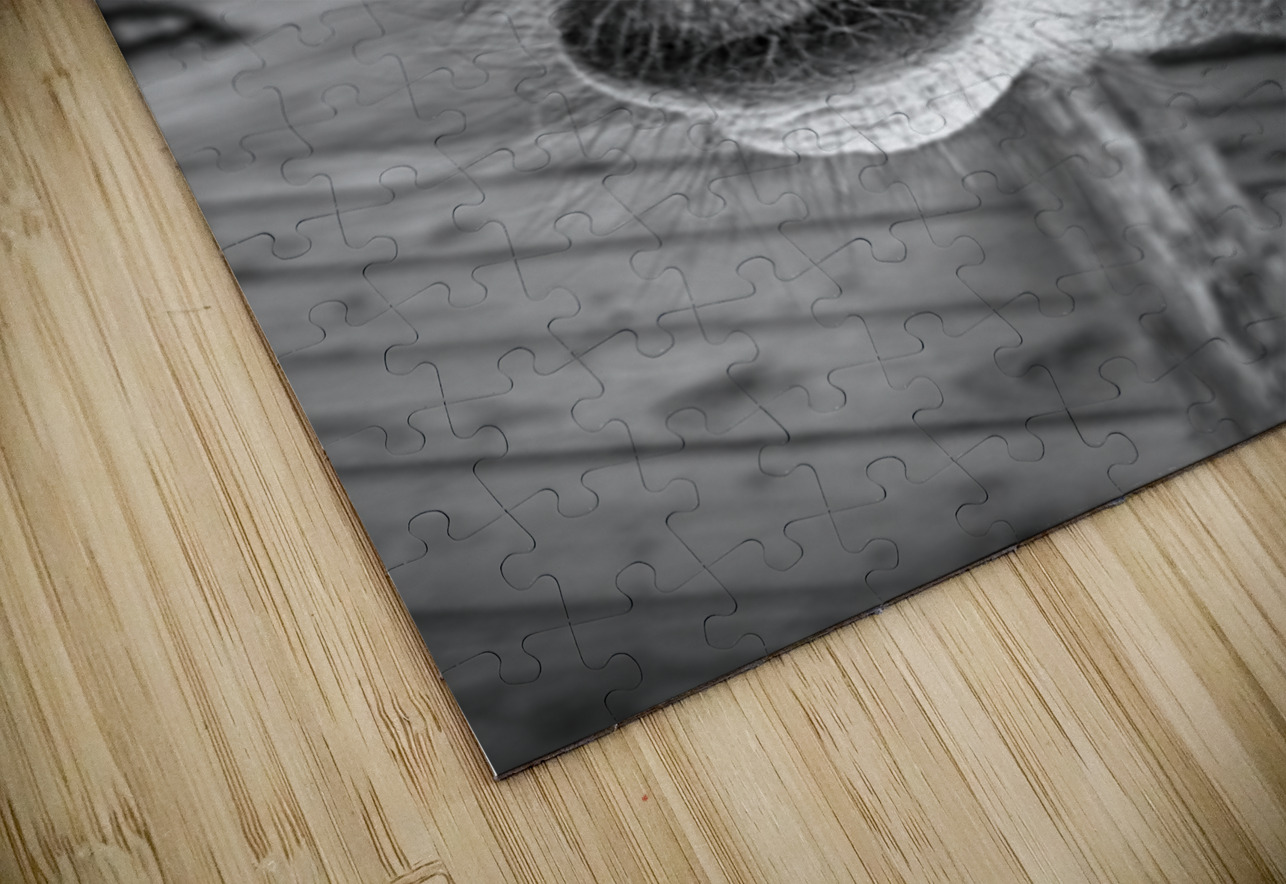 Give us a Kiss - black & white Leslie Affeldt Photography Puzzle