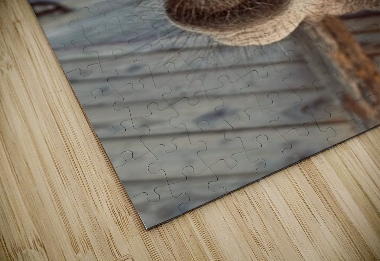 Give us a Kiss Leslie Affeldt Photography Puzzle