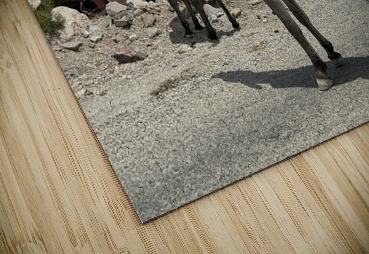 Street Party Leslie Affeldt Photography Puzzle