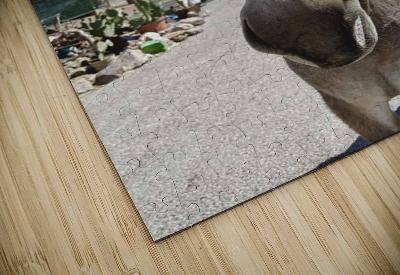 Oatman Donkey Leslie Affeldt Photography Puzzle