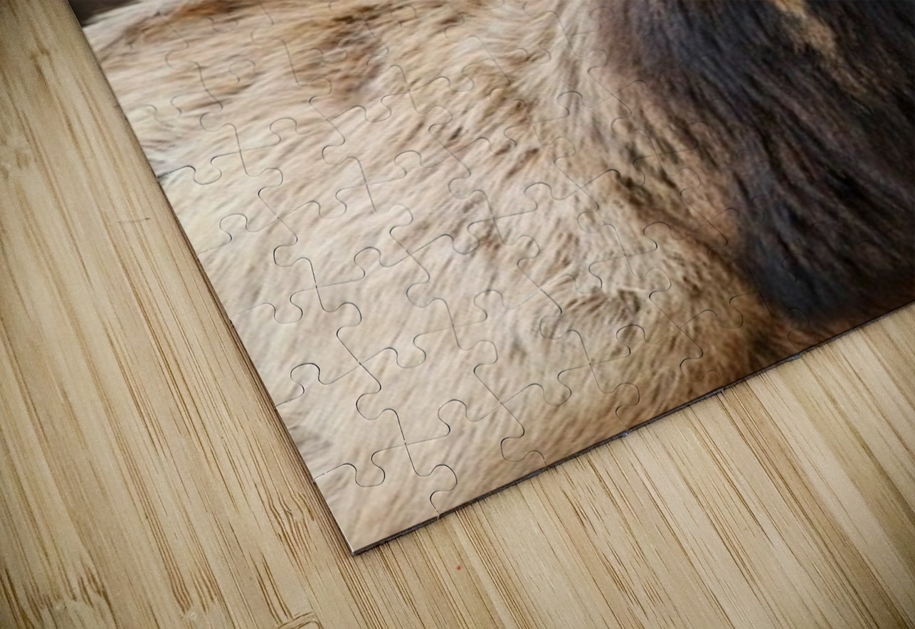 4A215C09 7526 4716 BD66 3AC285F47268 1 105 c Leslie Affeldt Photography Puzzle