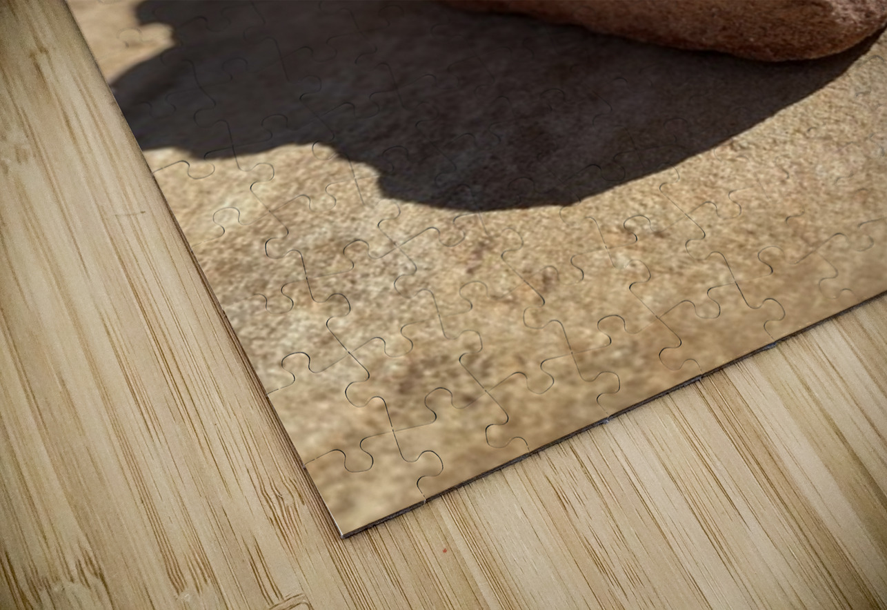 Zen Leslie Affeldt Photography Puzzle