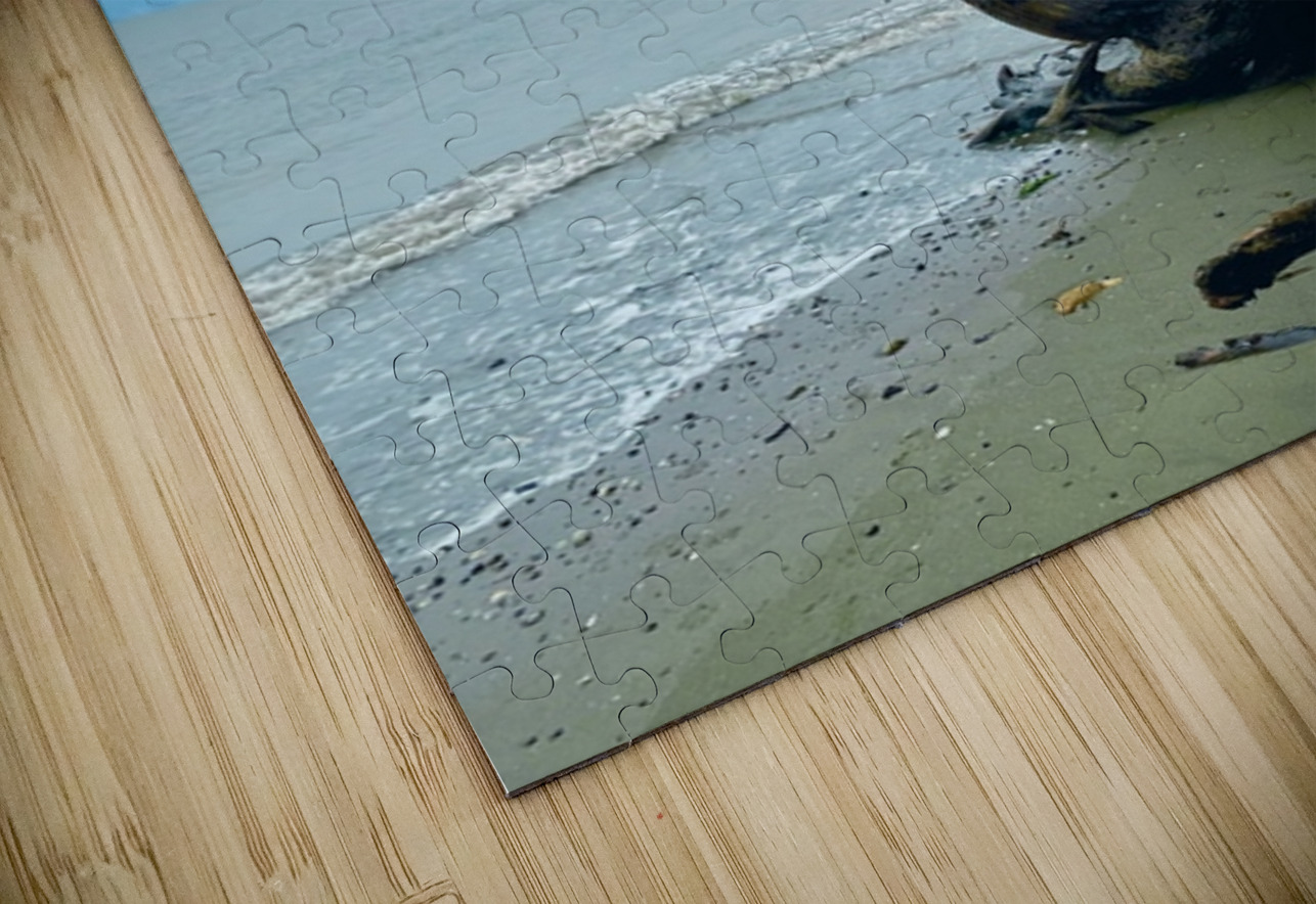 IMG 1646 Leslie Affeldt Photography Puzzle