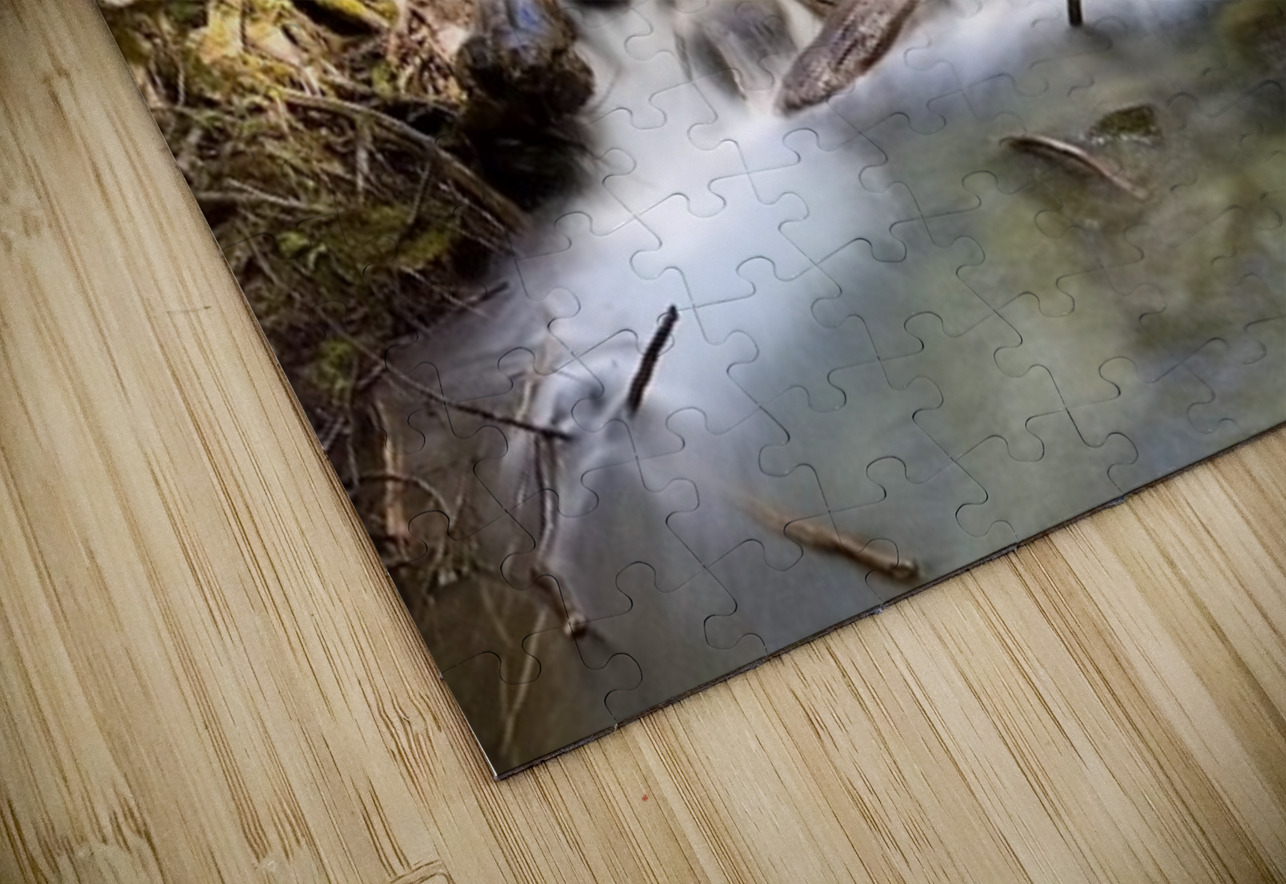 IMG 2442 Leslie Affeldt Photography Puzzle