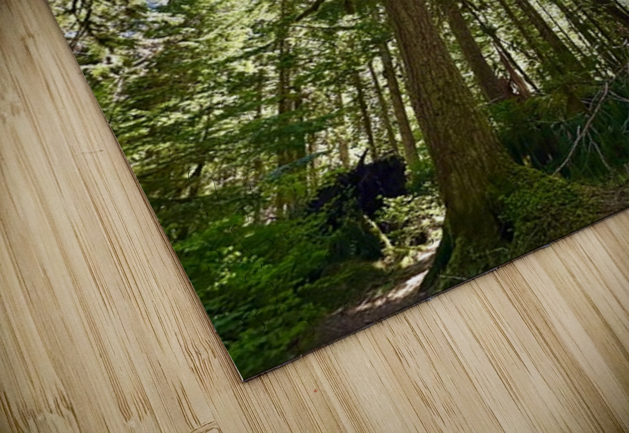Tall Tall Trees Leslie Affeldt Photography Puzzle