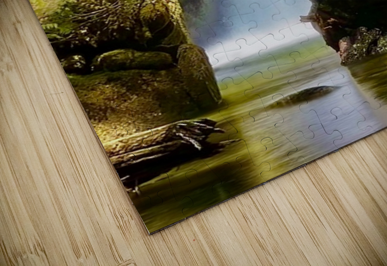 IMG 2510 Leslie Affeldt Photography Puzzle