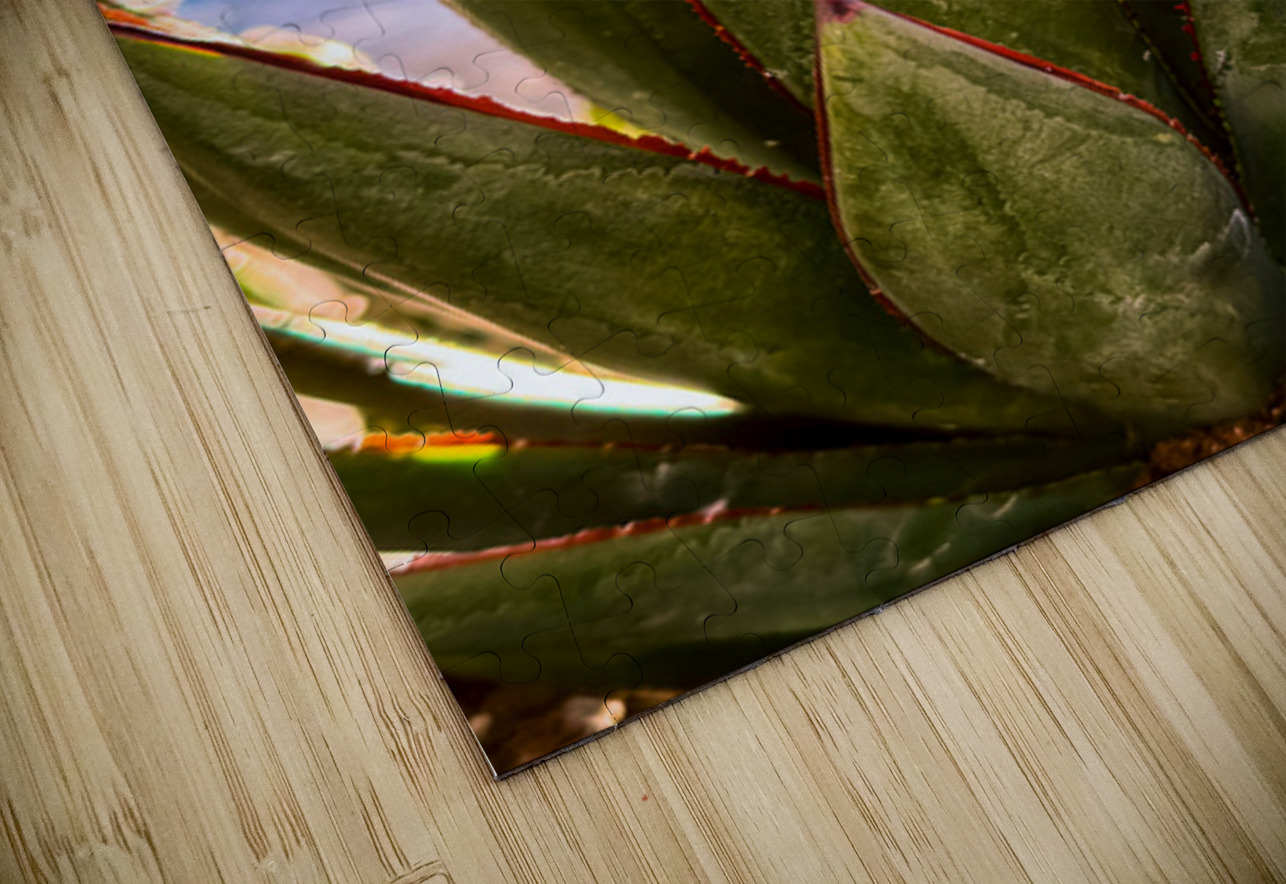 Agave Leslie Affeldt Photography Puzzle
