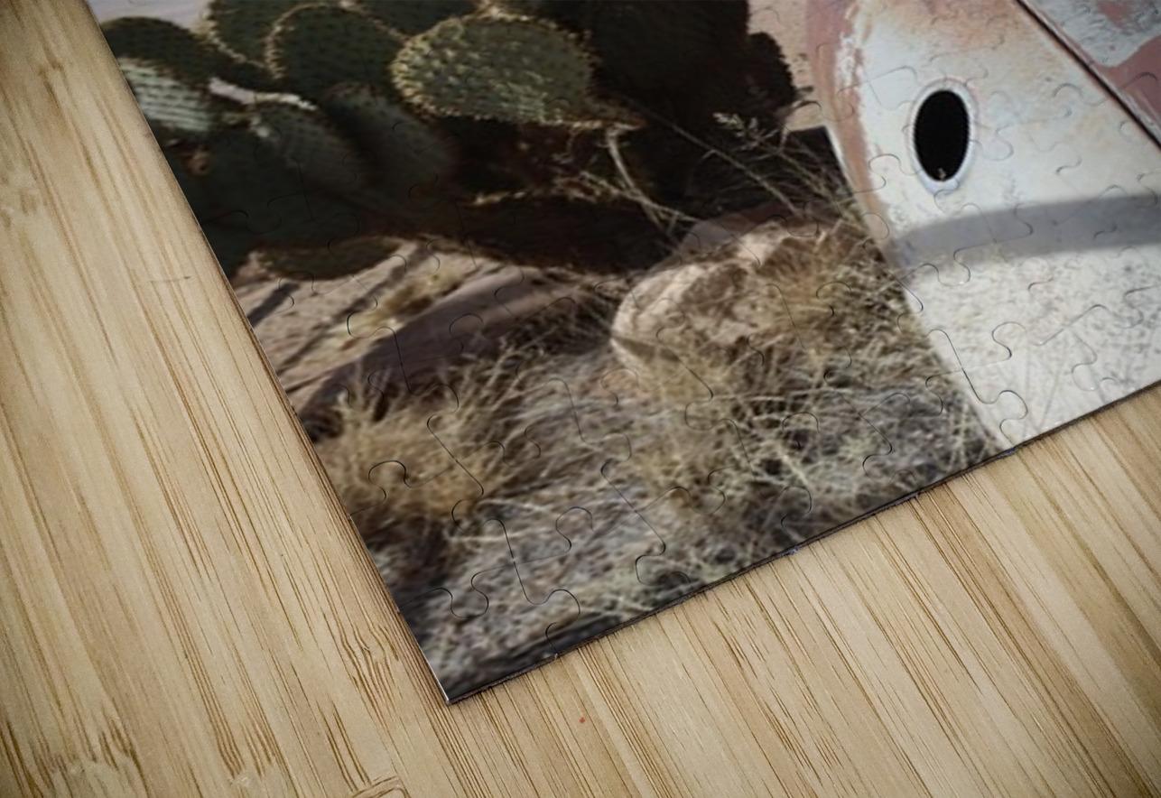 Old Cars and Cactus Leslie Affeldt Photography Puzzle