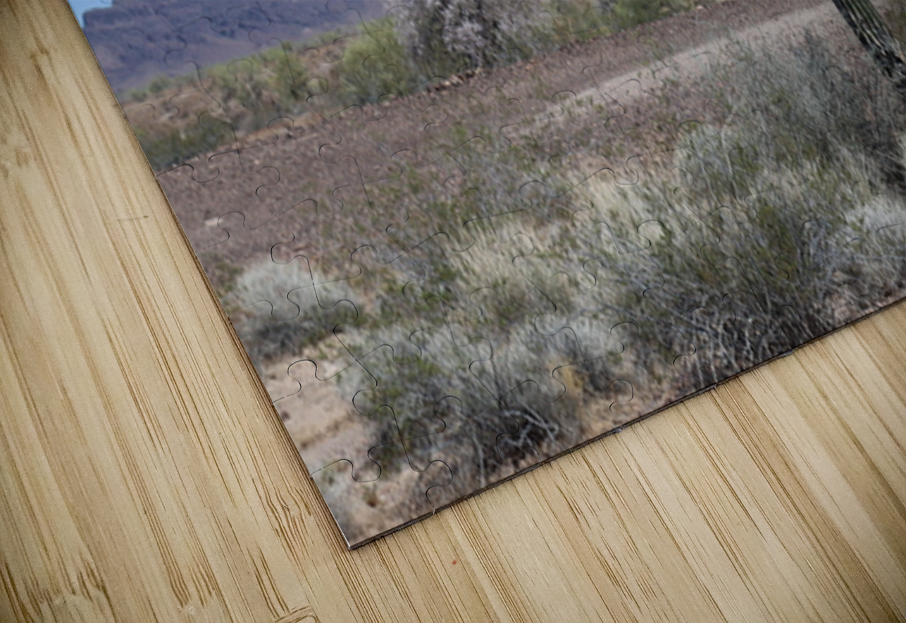 Saguaro desert scene Leslie Affeldt Photography Puzzle