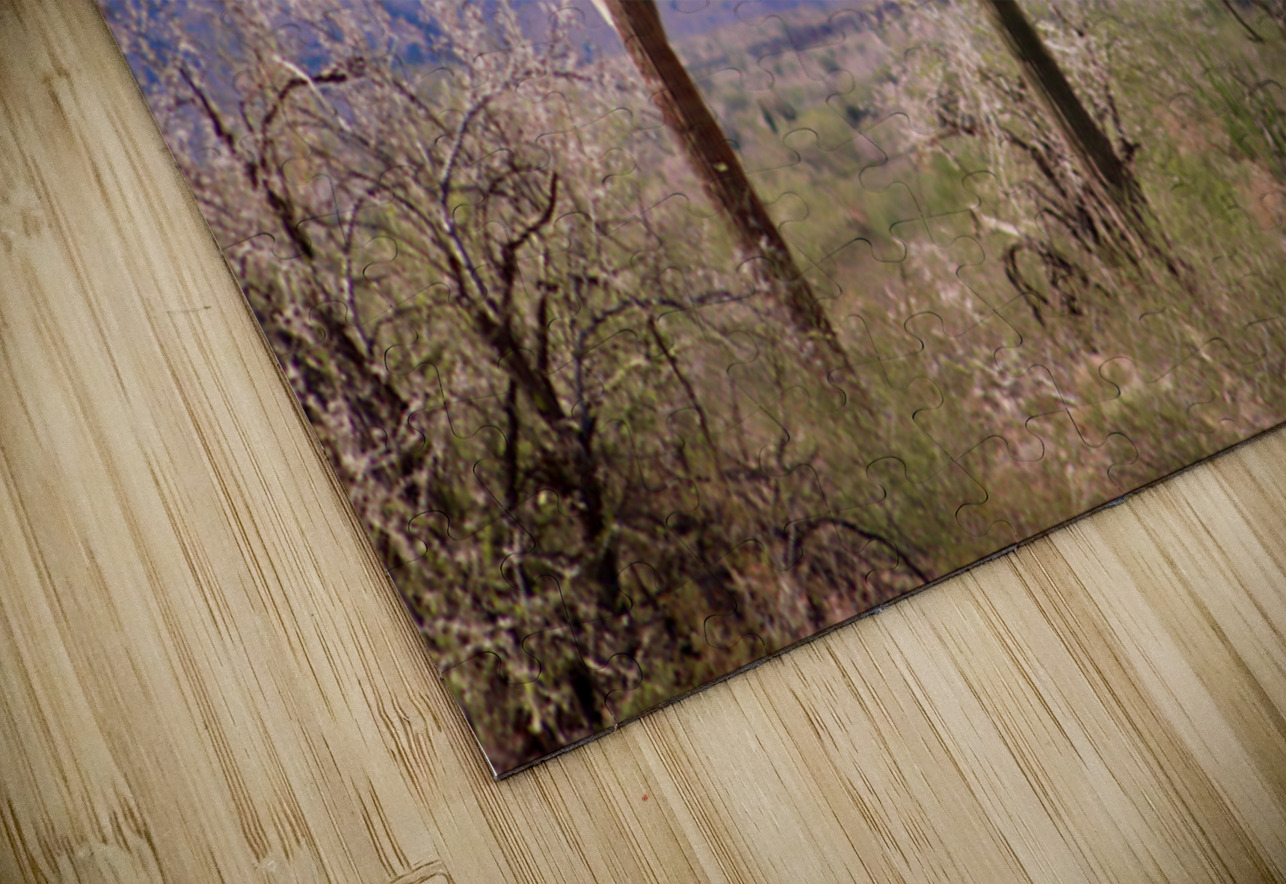 Desert landscape - Quartzsite Leslie Affeldt Photography Puzzle