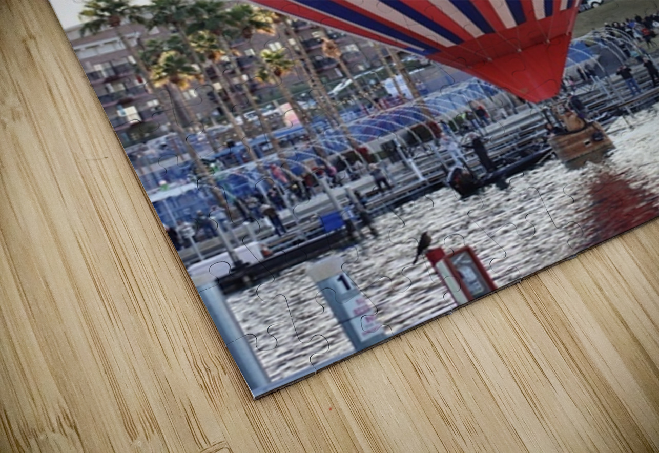 Splash and Dash Leslie Affeldt Photography Puzzle