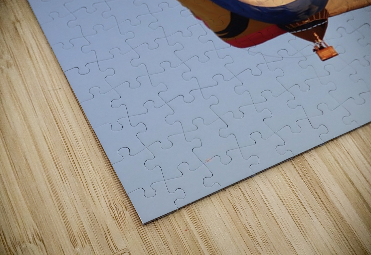 The Jester Leslie Affeldt Photography Puzzle