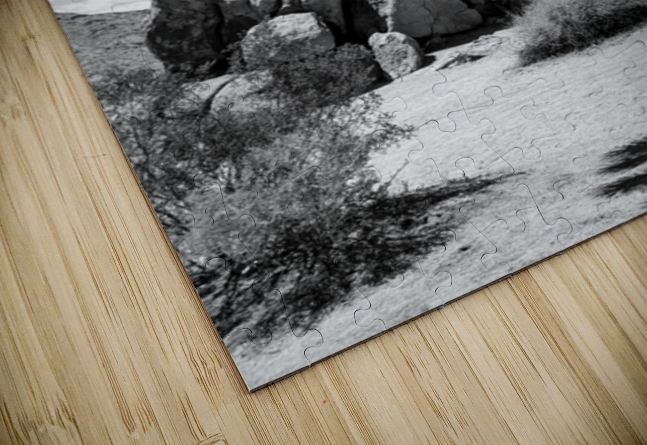 Joshua Tree Leslie Affeldt Photography Puzzle