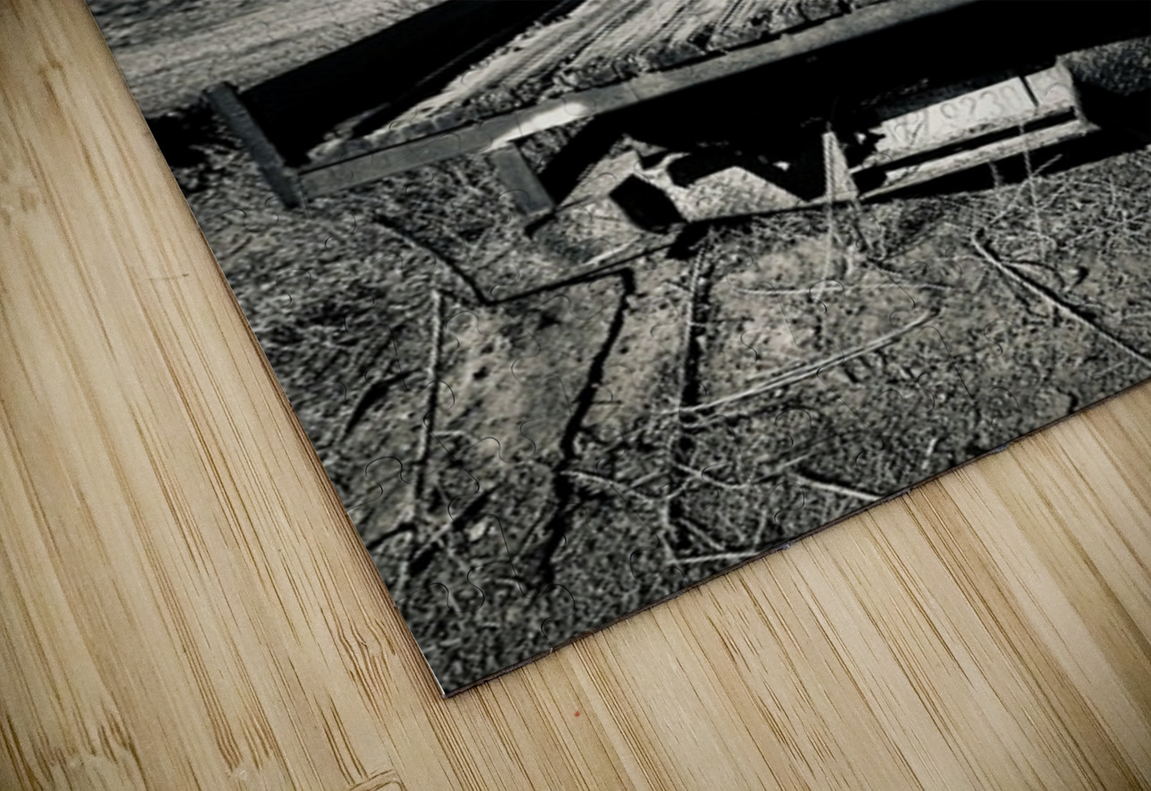 Rear View Leslie Affeldt Photography Puzzle