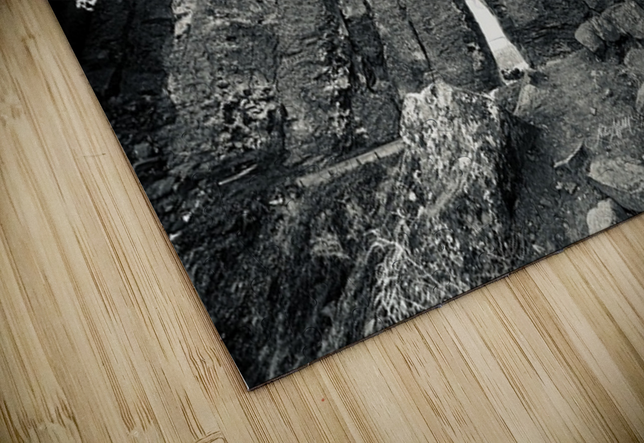 The Feathers Leslie Affeldt Photography Puzzle