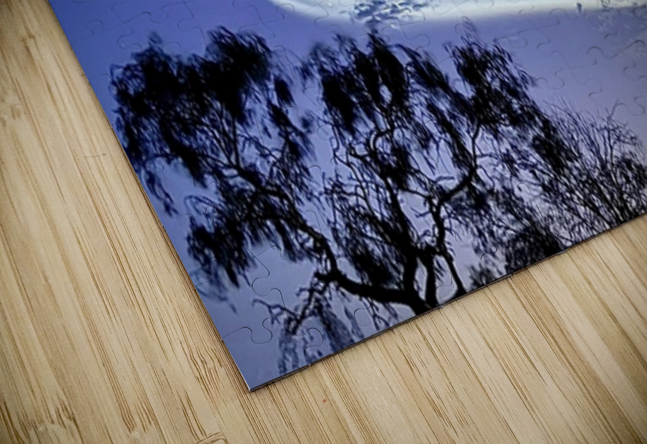 Space X launch -2 Leslie Affeldt Photography Puzzle