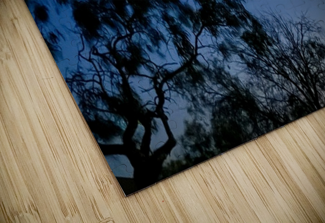 Space X Launch -1 Leslie Affeldt Photography Puzzle