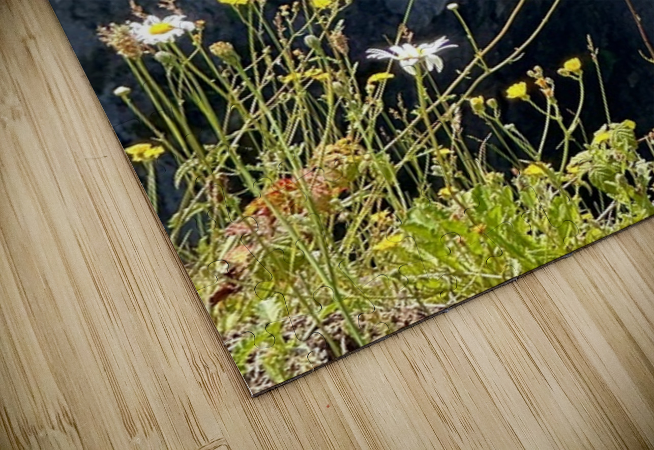 Snoqualmie falls through the Daiseys Leslie Affeldt Photography Puzzle