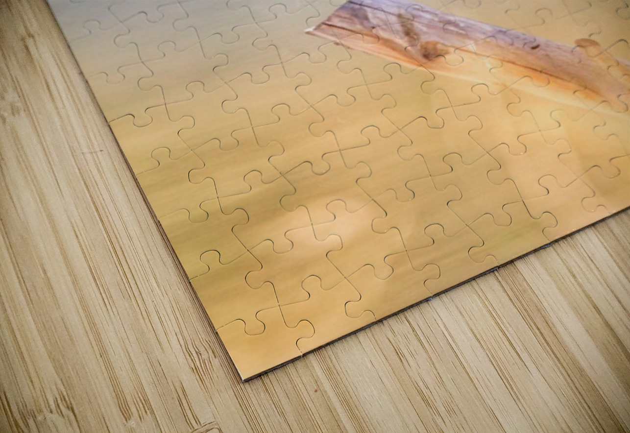 Take Flight Leslie Affeldt Photography Puzzle