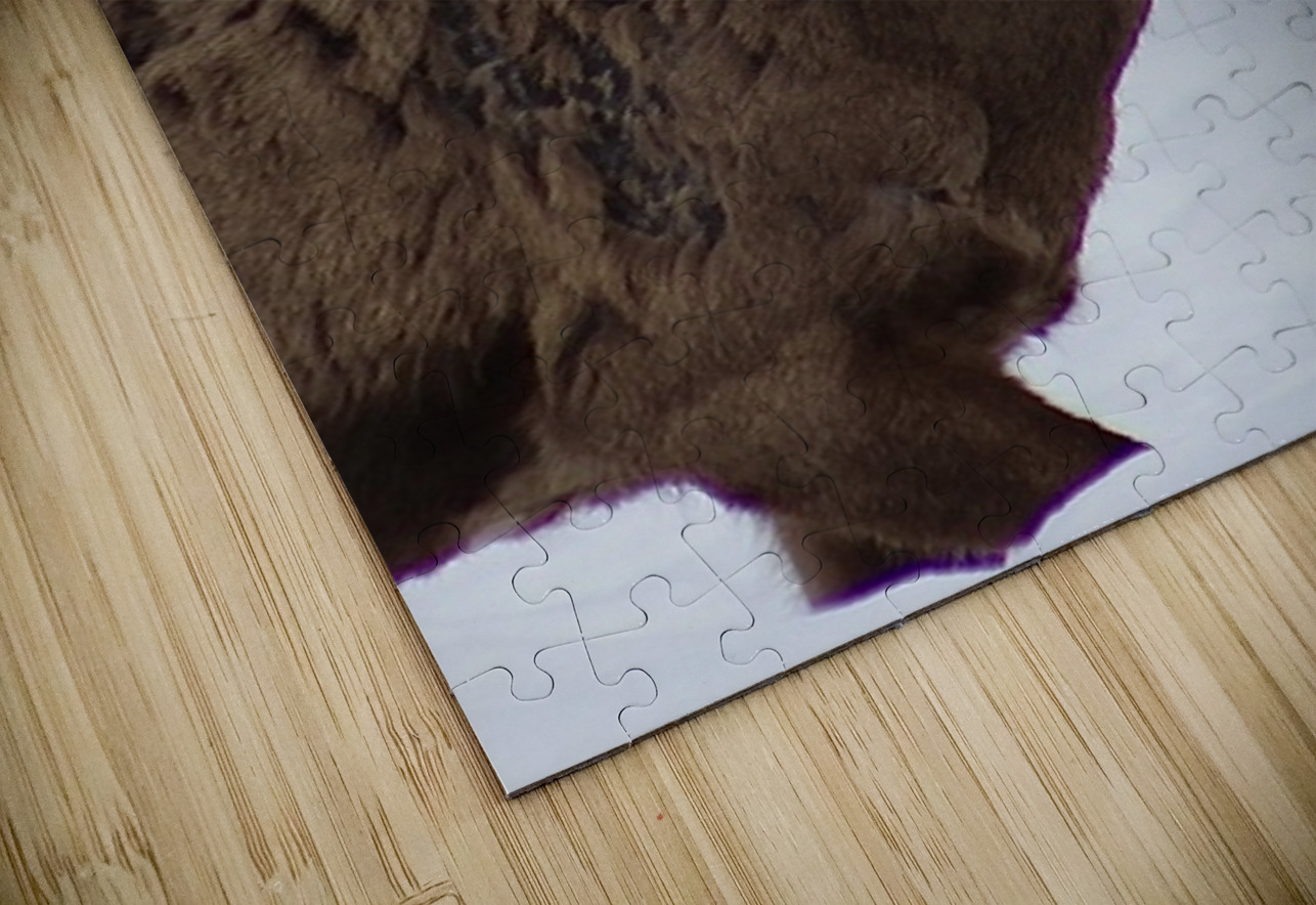 Big Horn Sheep Leslie Affeldt Photography Puzzle