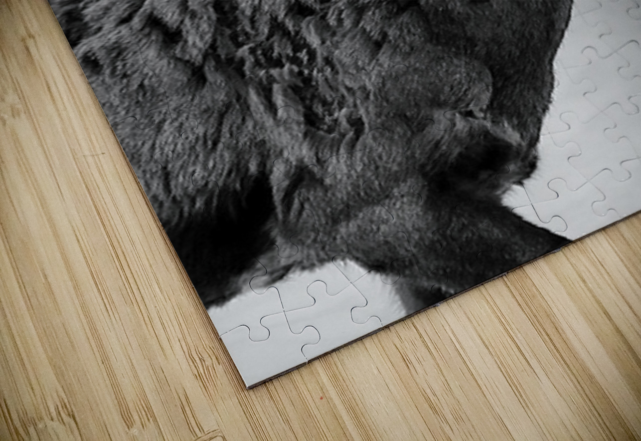 Big Horn Sheep B & W Leslie Affeldt Photography Puzzle