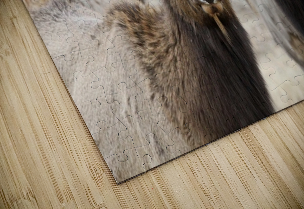 Lady Elks Leslie Affeldt Photography Puzzle