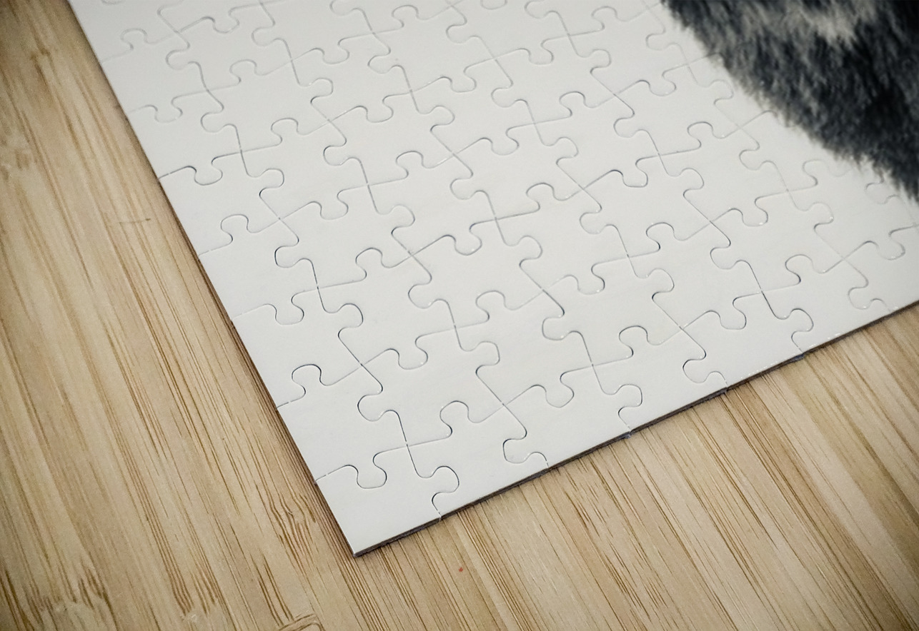 Elk in Black and White  Leslie Affeldt Photography Puzzle