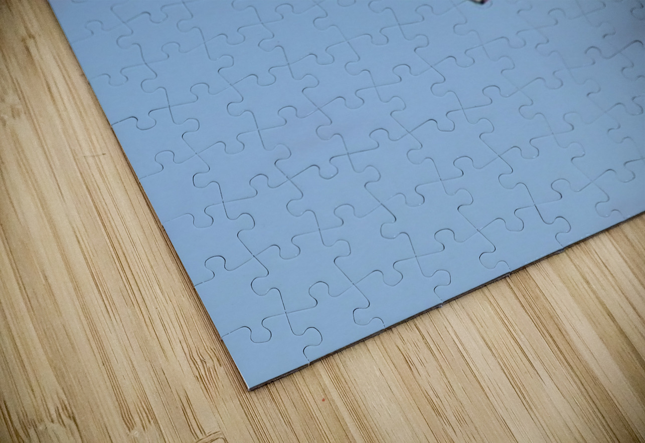 Pelican flight Leslie Affeldt Photography Puzzle