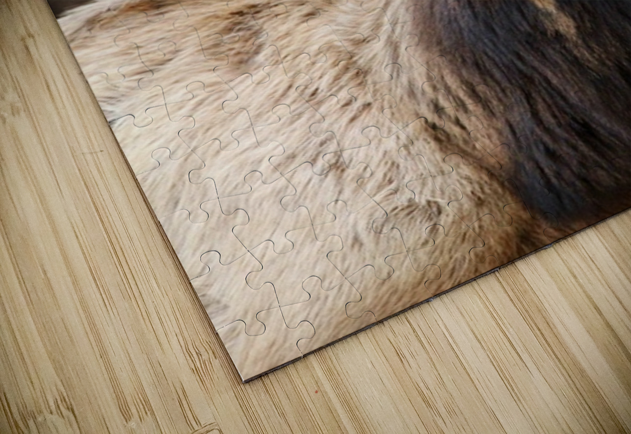 Elk Season Leslie Affeldt Photography Puzzle