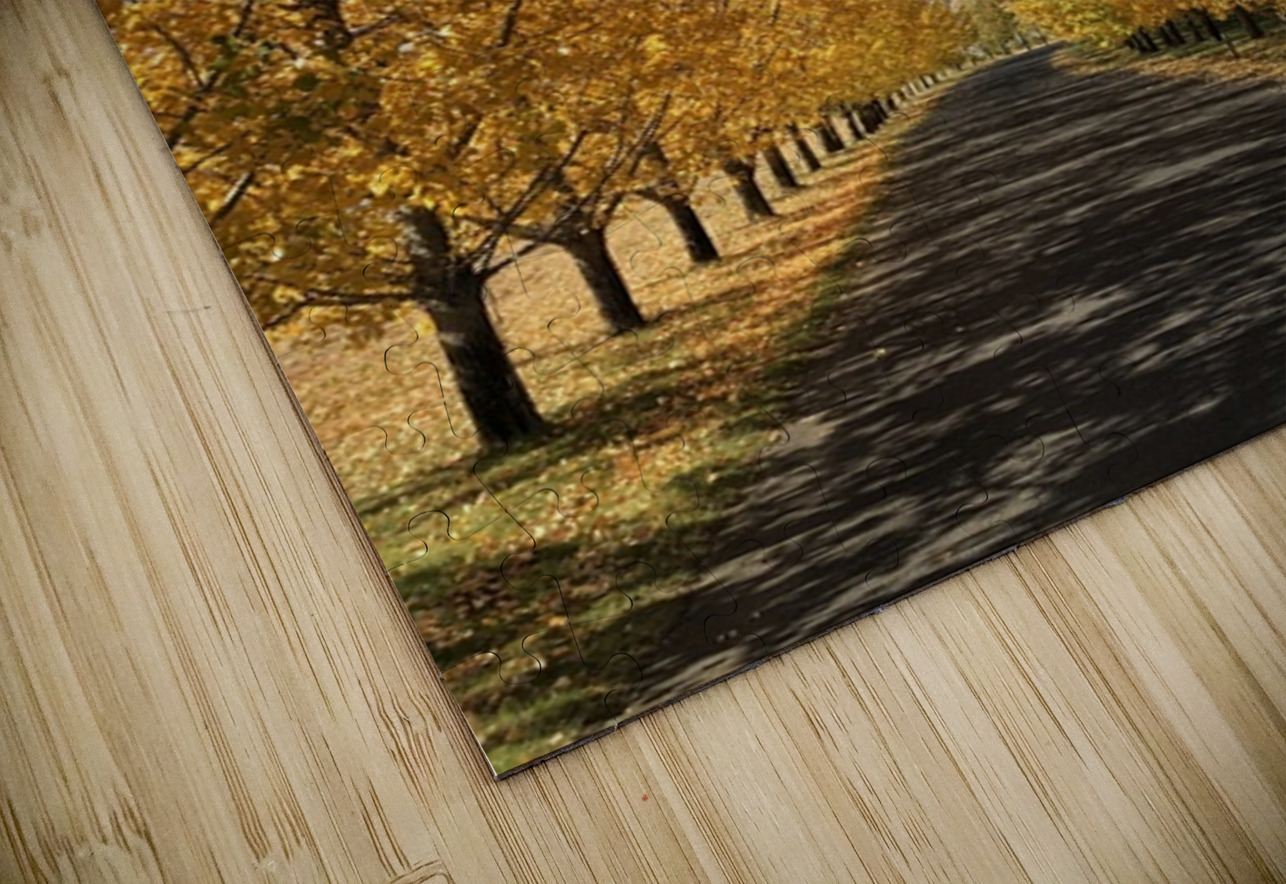 The Road to Cave B Leslie Affeldt Photography Puzzle