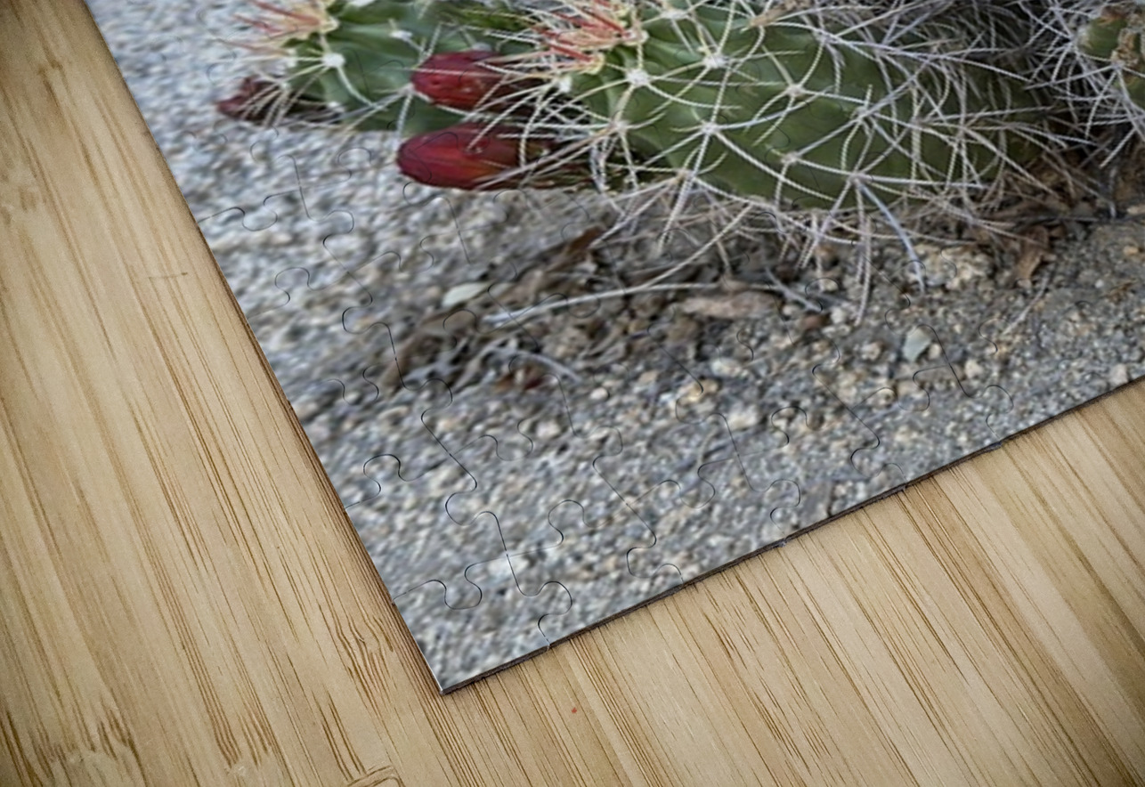 Cactus Bloom -Red Leslie Affeldt Photography Puzzle