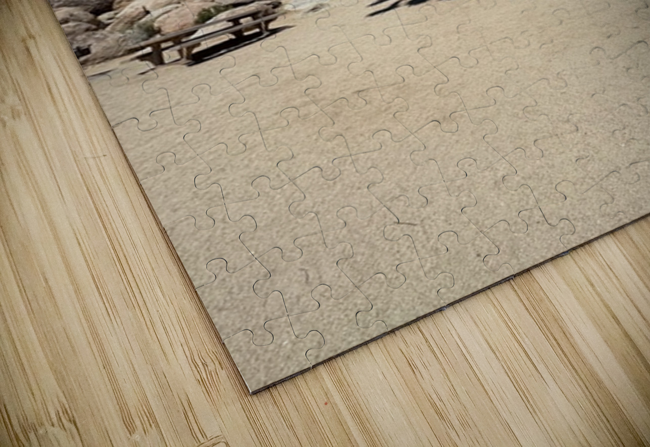 Joshua Tree -3 Leslie Affeldt Photography Puzzle