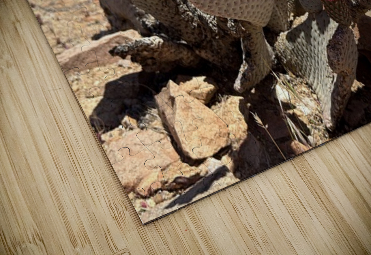 Cactus Bloom Leslie Affeldt Photography Puzzle