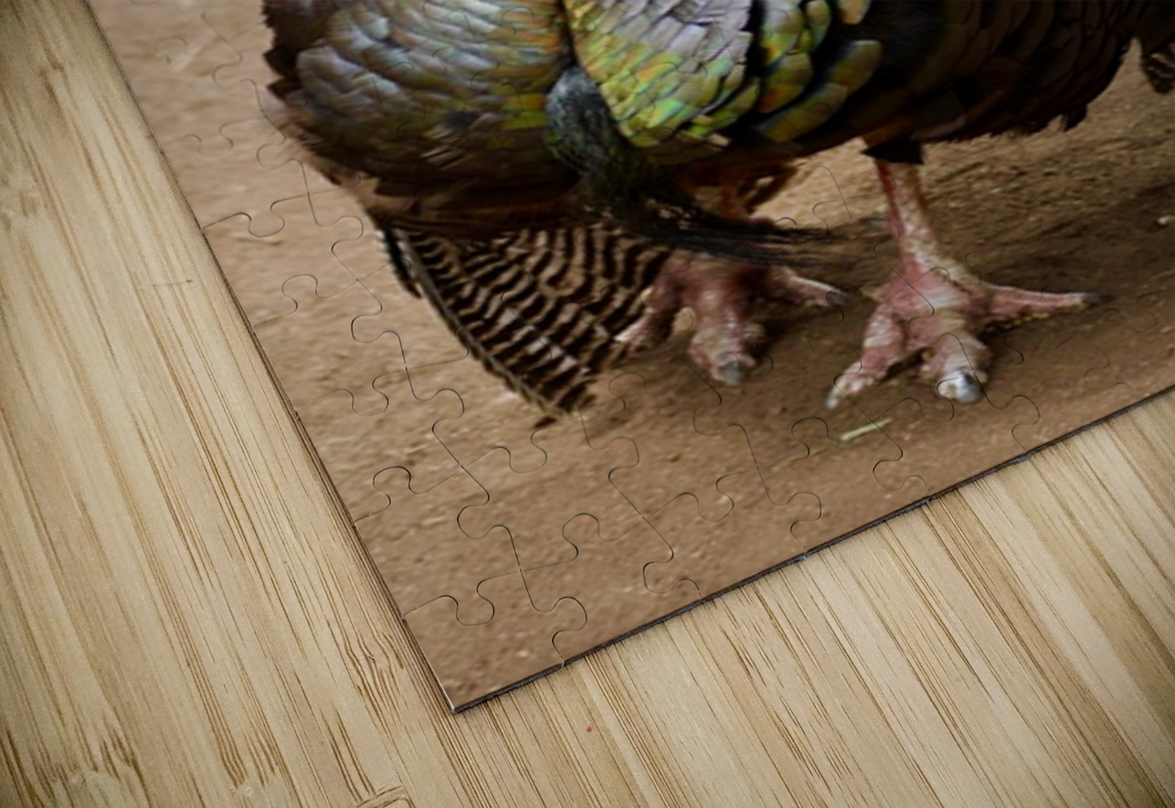 Wild Turkey Leslie Affeldt Photography Puzzle