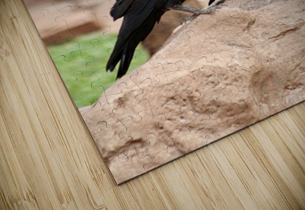 Ravens Leslie Affeldt Photography Puzzle