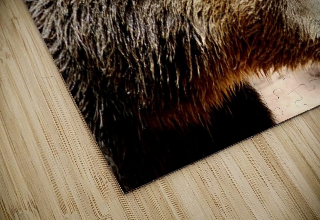 Brown Bear -1 Leslie Affeldt Photography Puzzle