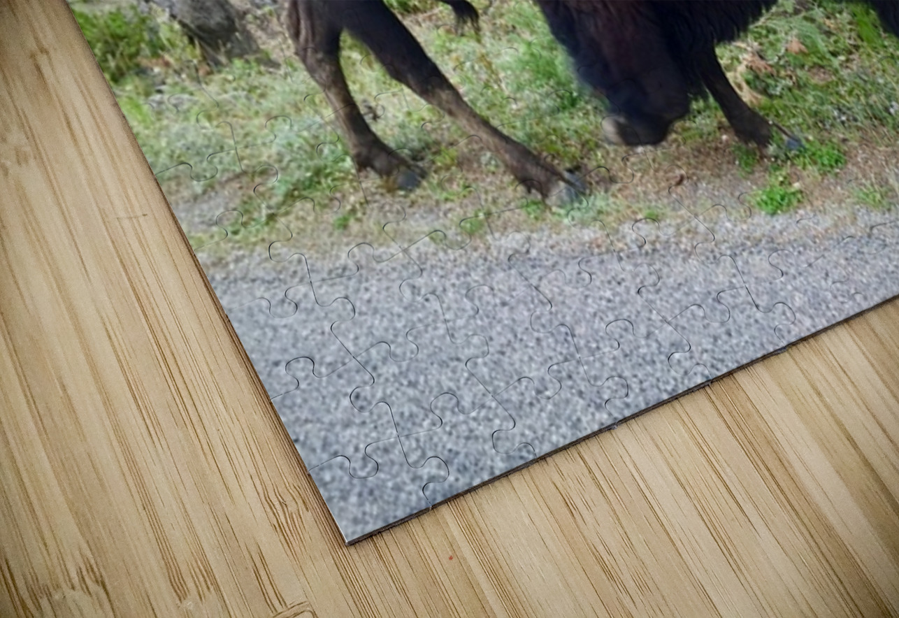Yellowstone Bison Leslie Affeldt Photography Puzzle