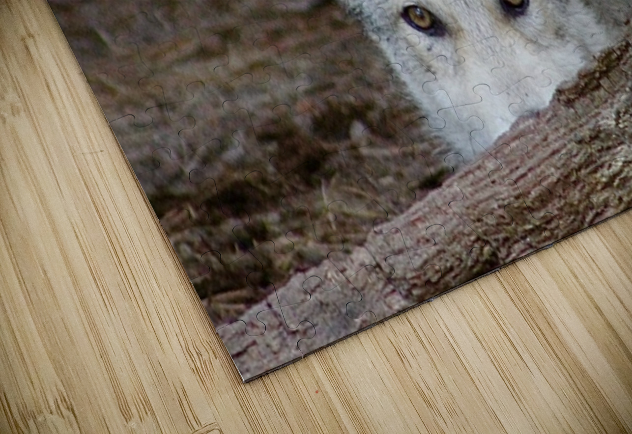 Wolf Hiding Leslie Affeldt Photography Puzzle