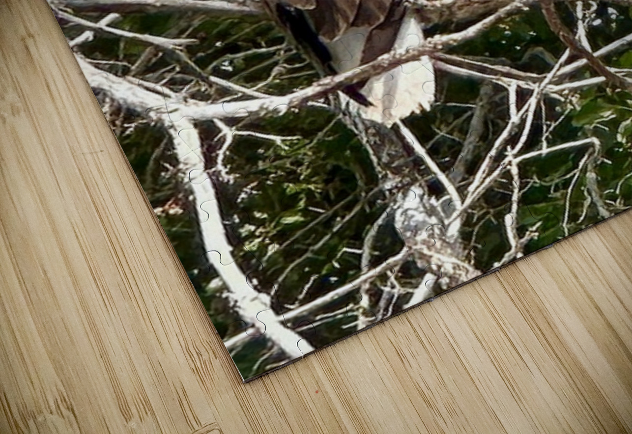 Bald Eagle in tree Leslie Affeldt Photography Puzzle