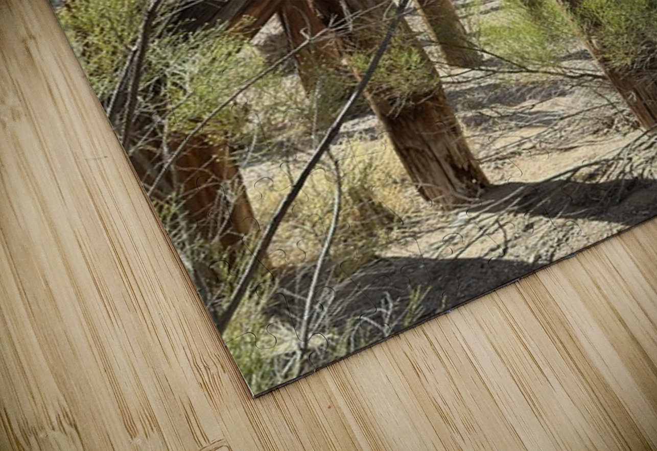 Under the Trestle Leslie Affeldt Photography Puzzle