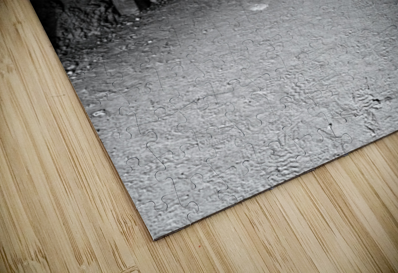 Old mine tunnel -Oatman AZ Leslie Affeldt Photography Puzzle