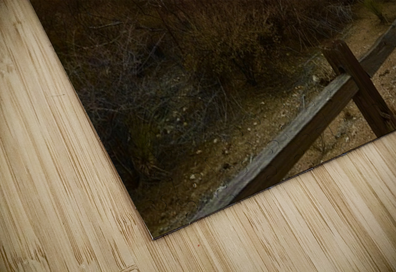 Sundown in Tombstone Leslie Affeldt Photography Puzzle