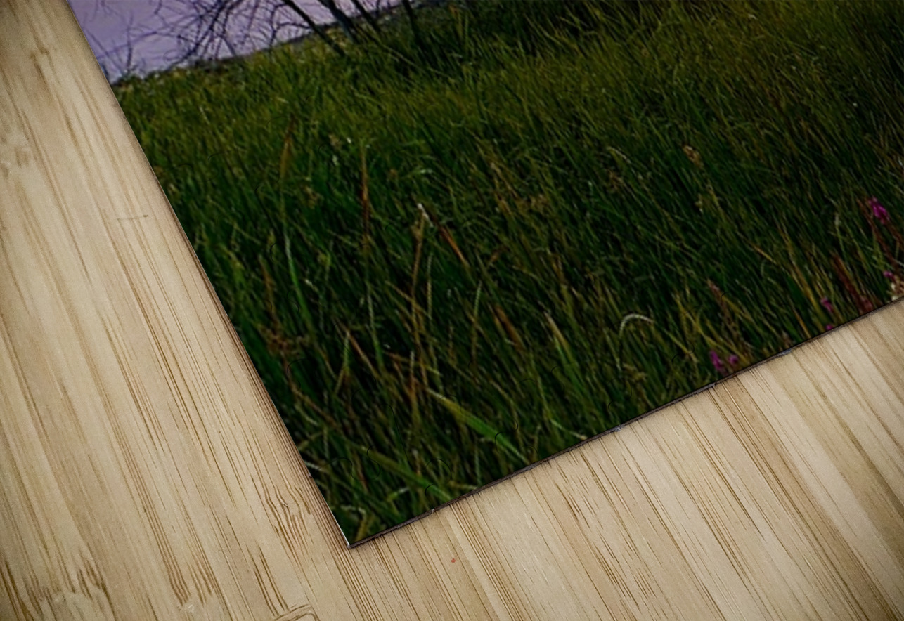 Sunset on Silica Road -2 Leslie Affeldt Photography Puzzle