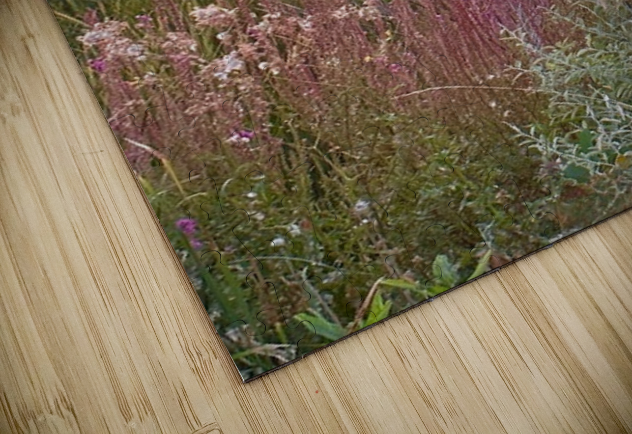 Sunset on Silica Road Leslie Affeldt Photography Puzzle