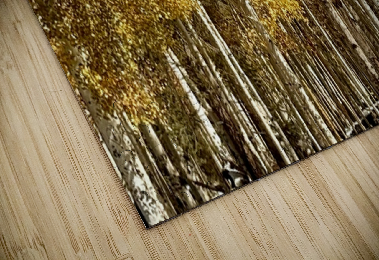 IMG 9899 Leslie Affeldt Photography Puzzle