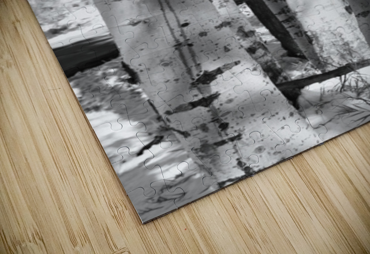 IMG 4696 Leslie Affeldt Photography Puzzle