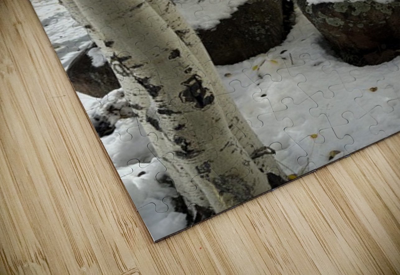 IMG 9854 Leslie Affeldt Photography Puzzle