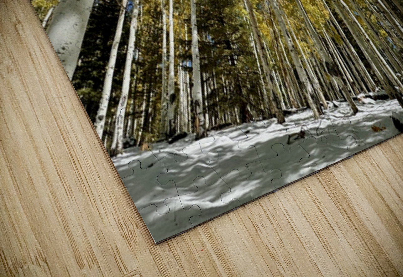 IMG 9874 Leslie Affeldt Photography Puzzle