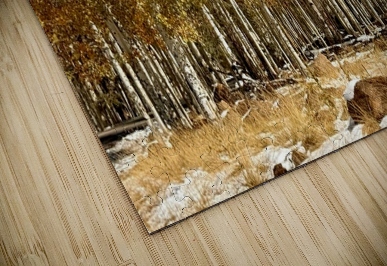 IMG 9899 Leslie Affeldt Photography Puzzle