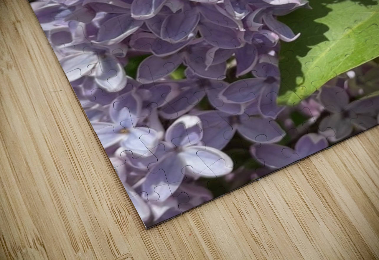 Saving the World Leslie Affeldt Photography Puzzle